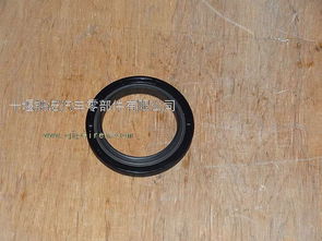 東風(fēng)發(fā)動機(jī)總成ISDE/ISBE曲軸前油封4890832 進(jìn)口油封解析與圖片展示