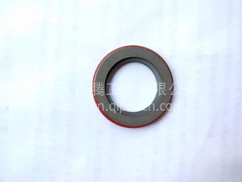進(jìn)口油封水泵油封3003353 價格、圖片與配件廠家全解析